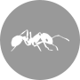 Apache Ant 教程