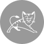 Tomcat 8 权威指南